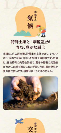 モバイル表示のサムネイル画像